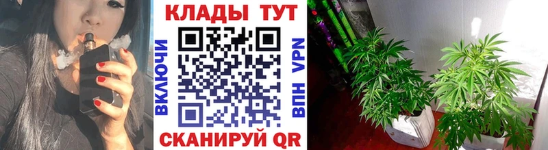 Виды наркоты Грозный Канабис  Альфа ПВП  Меф мяу мяу 