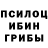 Галлюциногенные грибы GOLDEN TEACHER EmoUnloved