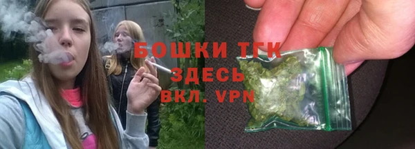 тгк Бородино