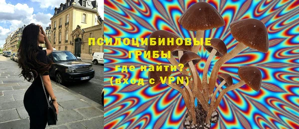 ECSTASY Бугульма