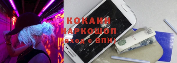 тгк Бородино