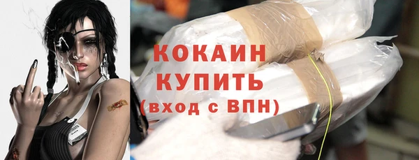 тгк Бородино