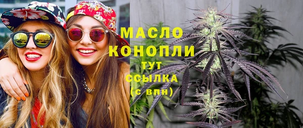 тгк Бородино