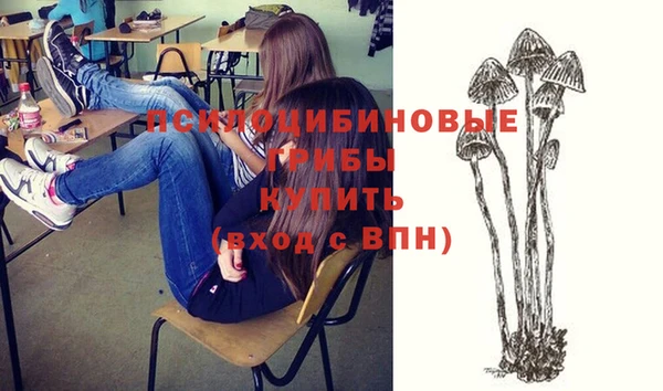 ECSTASY Бугульма