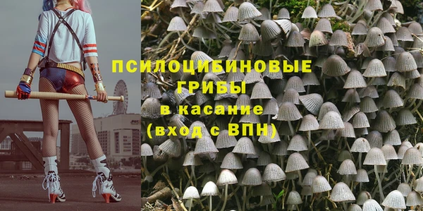 ECSTASY Бугульма